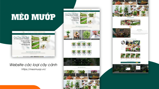 Thumnail-web-07